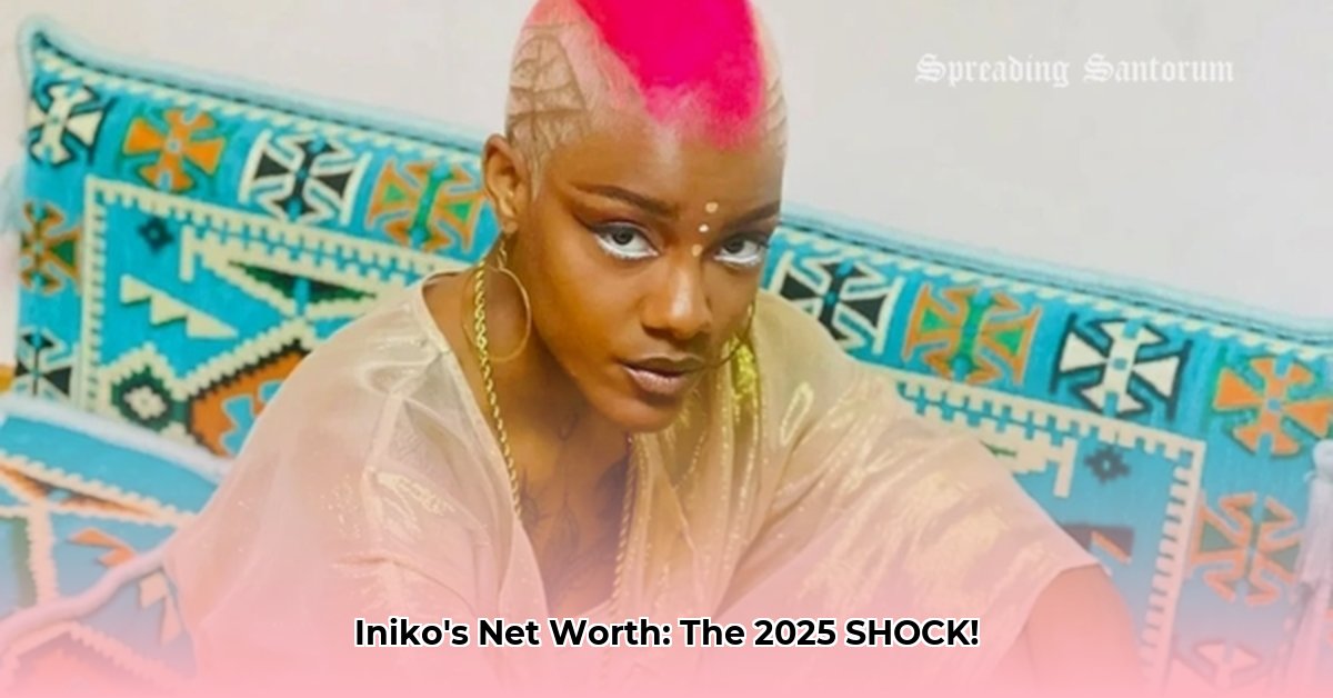 iniko-net-worth